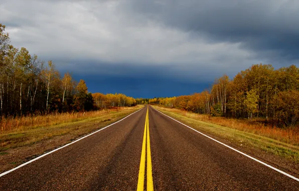 Картинка дорога, небо, деревья, тучи, colors, Осень, road, sky