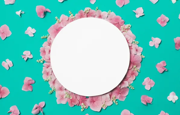 Картинка цветы, фон, лепестки, розовые, pink, flowers, background, petals