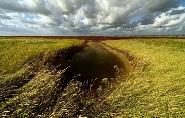 Поле, небо, лужа