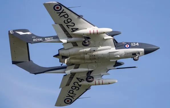 Истребитель, RAF, Шасси, Royal Navy, Sea Vixen, de Havilland Aircraft Company, de Havilland DH.110 Sea …