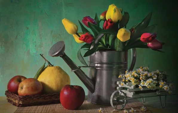 Colorful, flower, nature, life, flowers, tulips, still