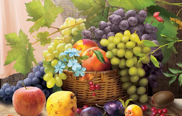 Цветы, рендеринг, виноград, фрукты, лоза