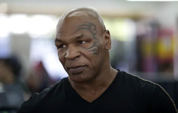 Взгляд, тату, актер, боксер, Mike Tyson, Майк Тайсон, Michael Gerard Tyson