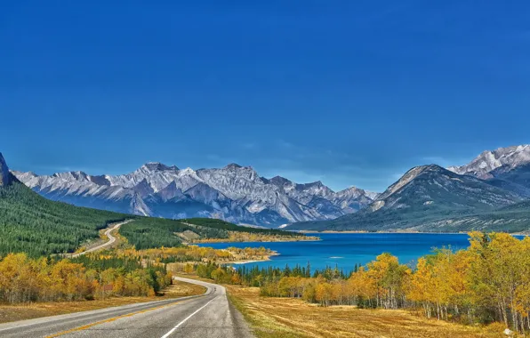 Картинка дорога, пейзаж, горы, озеро, Abraham Lake