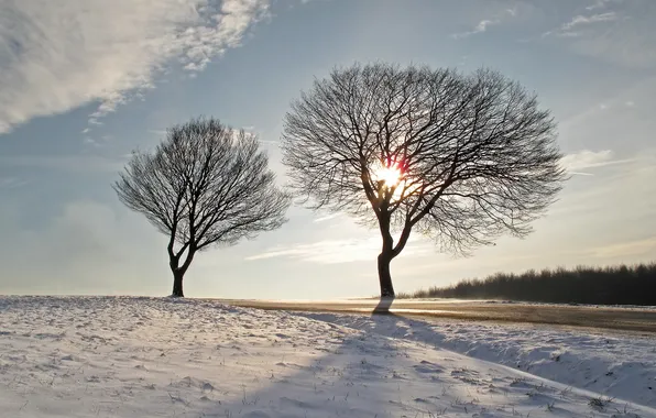 Картинка зима, дорога, небо, деревья, пейзаж