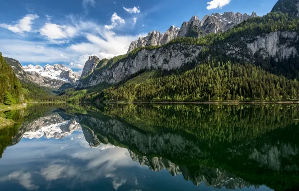 Лес, горы, озеро, отражение, Австрия, Альпы, Austria, Alps