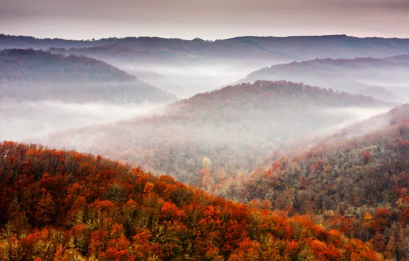 Осень, лес, небо, горы, природа, листва, sky, nature