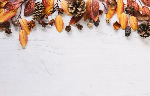 Картинка осень, листья, фон, доски, colorful, клен, шишки, wood