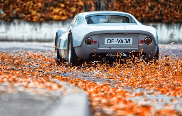 Авто, Осень, Porsche, Листья, Машина, Carrera, 1964, 904