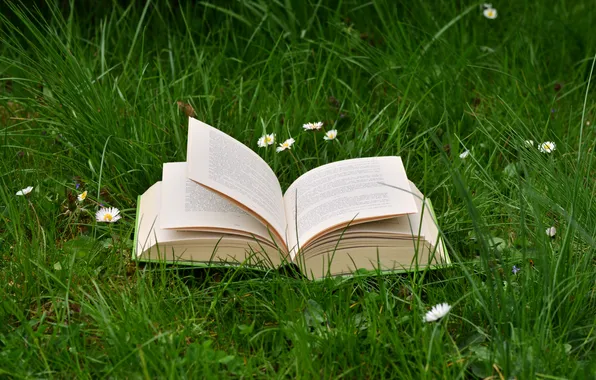 Картинка цветок, трава, природа, растения, книга