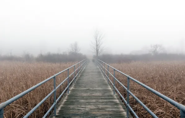 Картинка зима, мост, туман