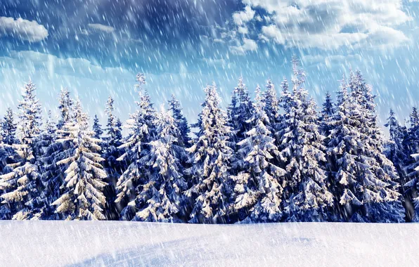 Картинка зима, лес, снег, ёлки, снегопад
