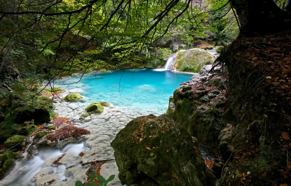 Картинка лес, листья, деревья, ветки, ручей, камни, мох, Испания