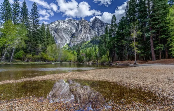 Лес, листья, вода, горы, природа, река