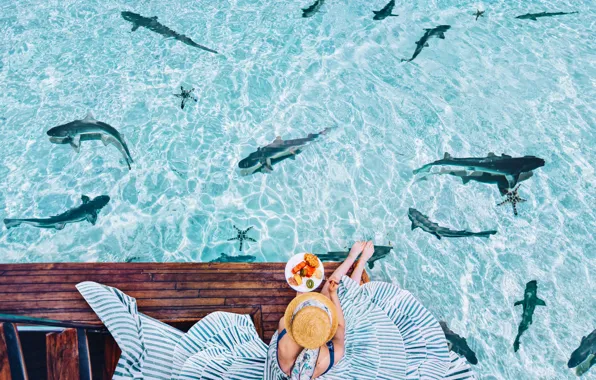 Картинка вода, девушка, настроение, океан, ситуация, завтрак, платье, шляпка