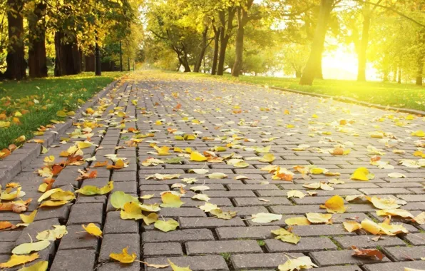 Осень, парк, аллея