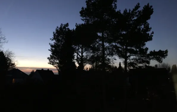 Sky, Trees, Houses, Sun Goes Down, Photography by Tom