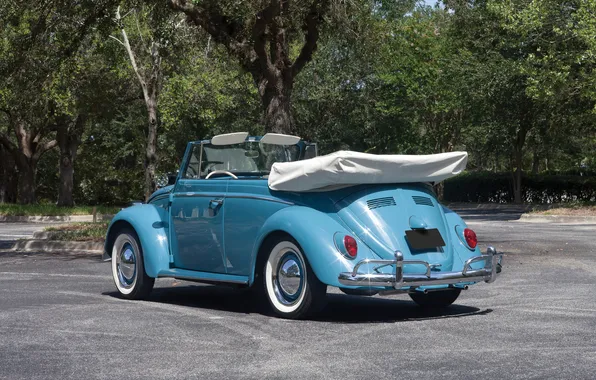 Volkswagen, Beetle, ретро автомобили, Cabriolet, 1963, retro cars, Volkswagen Beetle Cabriolet
