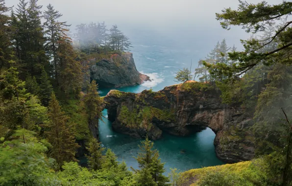 Картинка деревья, пейзаж, природа, туман, океан, скалы, Орегон, США