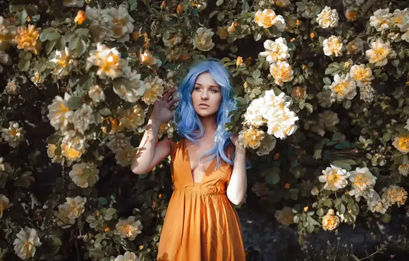 Девушка, розы, декольте, голубые волосы, Alexandra Cameron, Rosie in the roses