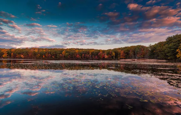 Картинка осень, небо, вода, облака, отражения, деревья, Нью Йорк, Harriman State Park