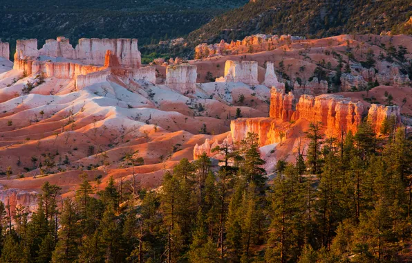 Деревья, закат, горы, скалы, Юта, США, Bryce Canyon National Park