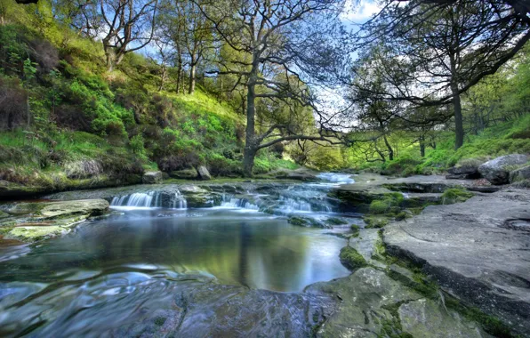 Деревья, река, склоны, Англия, England, национальный парк Пик-Дистрикт, Peak District National Park