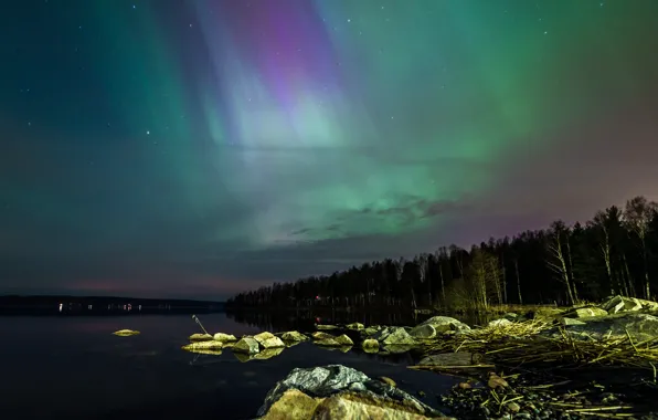 Картинка небо, звезды, деревья, камни, северное сияние, Швеция