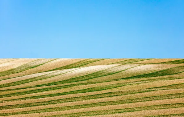 Sky, lines, farmland
