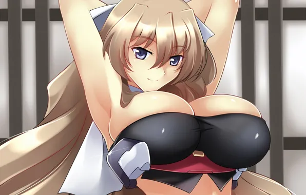 Girl, sexy, cleavage, long hair, brown hair, boobs, anime, beautiful