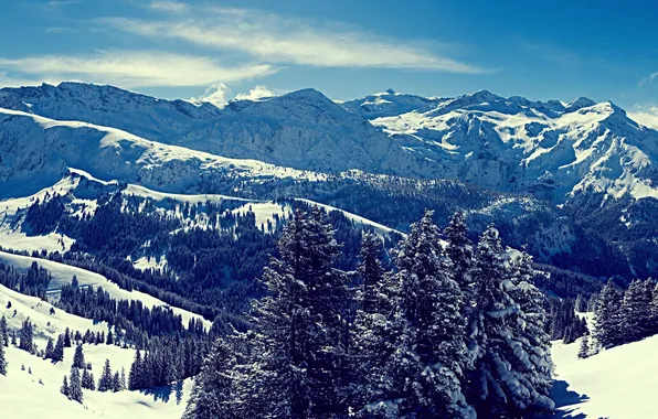 Картинка зима, небо, снег, деревья, горы, горные, снежные вершины