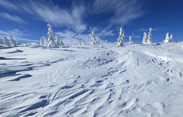 Картинка зима, небо, деревья, пейзаж, природа, холм