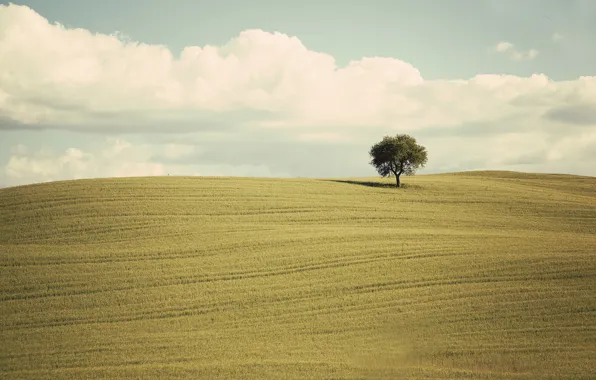 Green, clouds, tree, countryside, farm, farmland, countryside scene