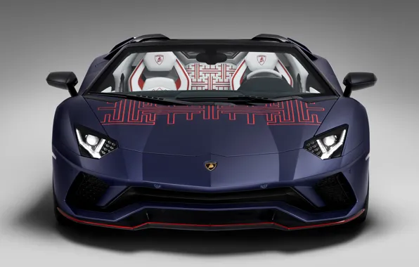 Картинка суперкар, кабриолет, светло-серый фон, спортивный автомобиль, Lamborghini Aventador S, Korean Special Series