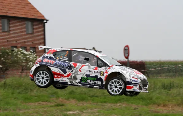 Трава, Дом, Прыжок, Peugeot, Rally, 208, T16