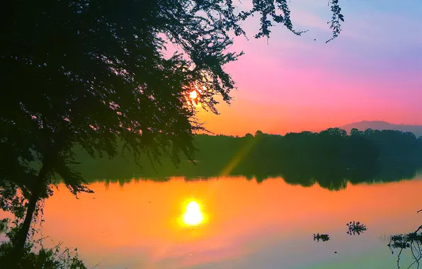 Sky, Water, Sunrise, Dawn, Morning, Lake, Trees, First Light