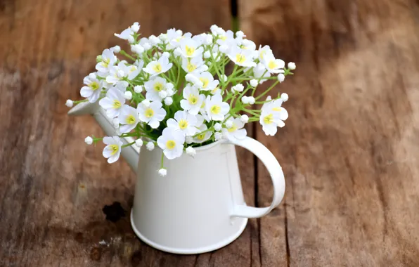 Цветы, лейка, white, белые, wood, flowers, spring