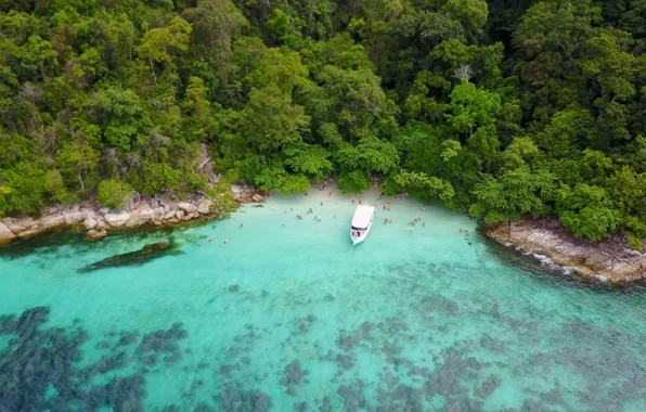 Пляж, деревья, камни, побережье, остров, сверху, from above, Koh Yang
