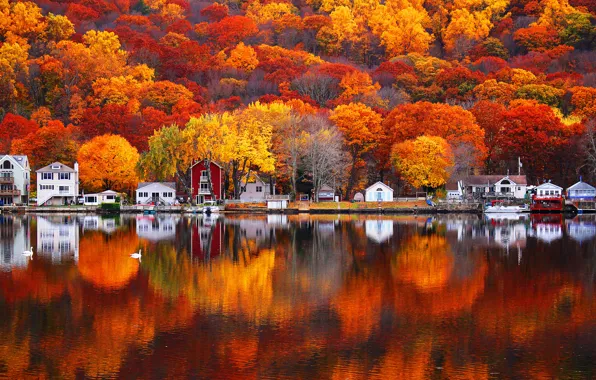 Осень, листья, деревья, природа, озеро, отражение, краски, дома