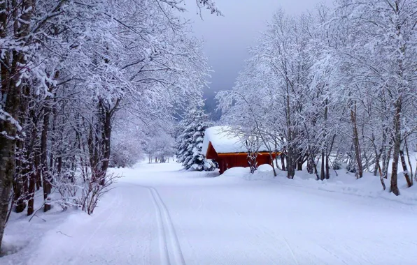 Картинка snow, зима, дорога, white, sky, лес, scenery, cool