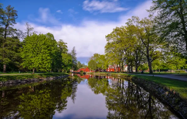 Картинка лето, небо, деревья, пруд, парк, Природа, summer, sky