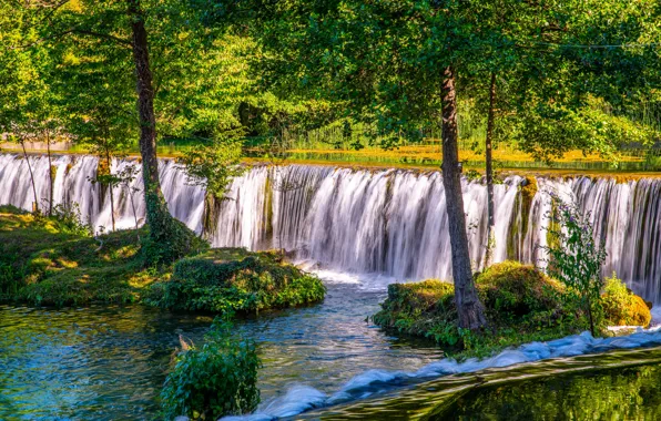 Зелень, лес, свет, водопад, поток