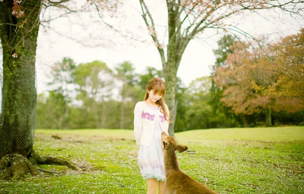 Grass, Asian, Model, pretty, Spring, Woman, Outdoor, Deer