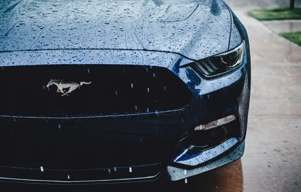 Ford Mustang, muscle car, water drops
