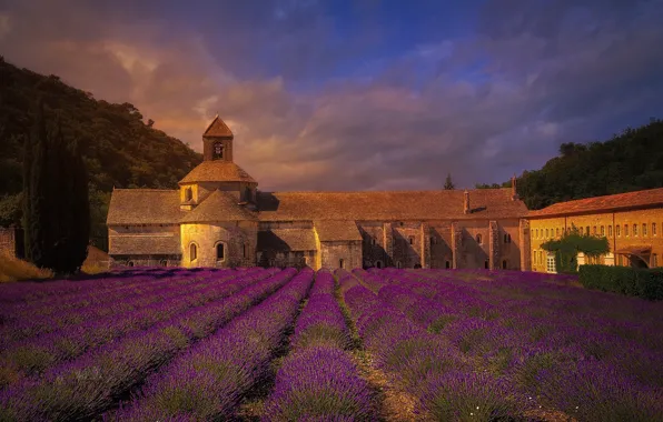 Картинка поле, Франция, монастырь, лаванда
