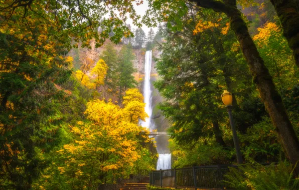 Картинка осень, деревья, водопад, Орегон, фонарь, Oregon, Columbia River Gorge, Multnomah Falls