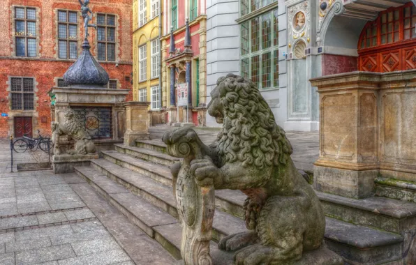 Lion, street, building, statua
