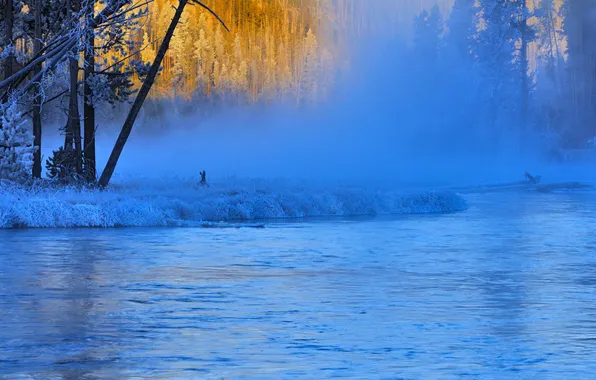 Картинка зима, иней, туман, река, Вайоминг, США, Yellowstone National Park