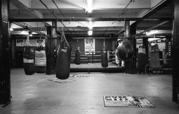 Boxing, Gym, Everlast