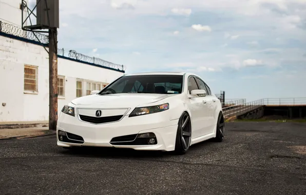 Тюнинг, белая, honda, хонда, accord, Tuning, аккорд, acura